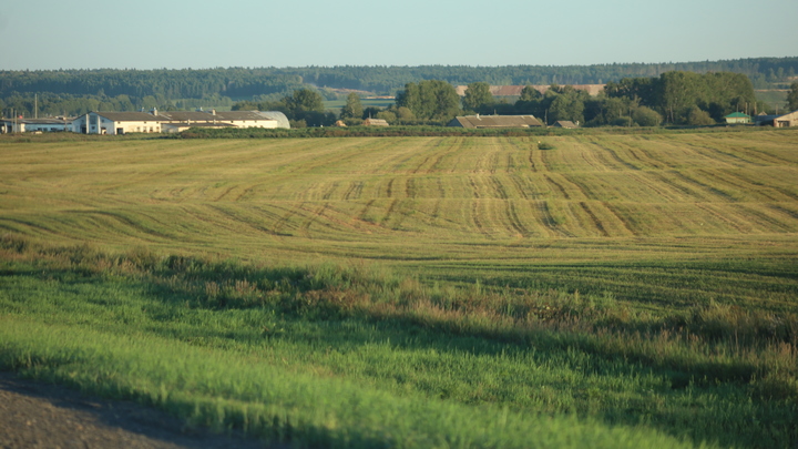 Проедаем почвенное плодородие. Учёный обеспокоен состоянием земли в России