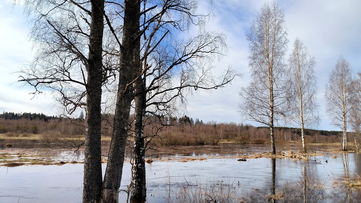 В Самарской области ничего нового не затоплено за сутки