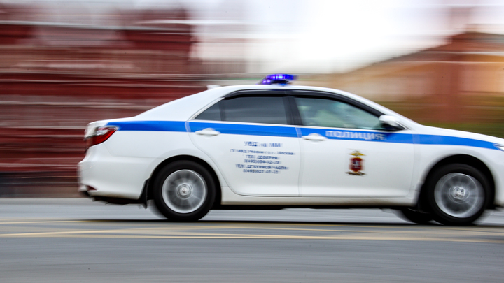 Бывшего мэра Архангельска задержали в Москве - СМИ