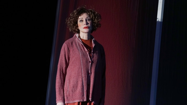 Никогда не был наш: Васильева подсказала, как реагировать на выходку Калныньша