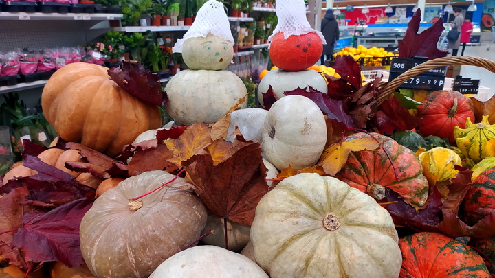 В лидерах - баттернат. Названа пятёрка самых популярных тыкв в России