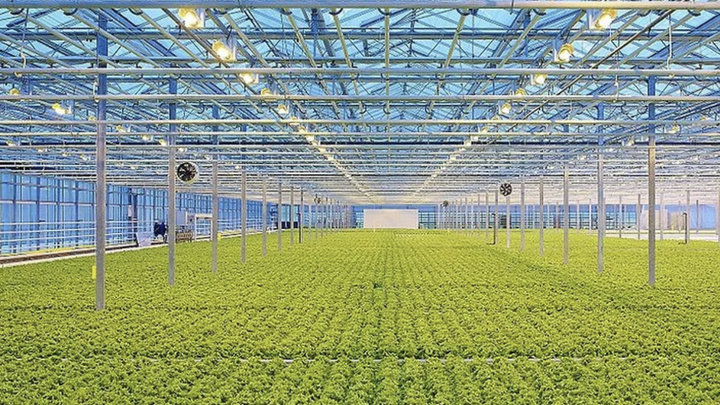 Тепличный комплекс стоимостью 1,4 млрд рублей построят в Краснодаре