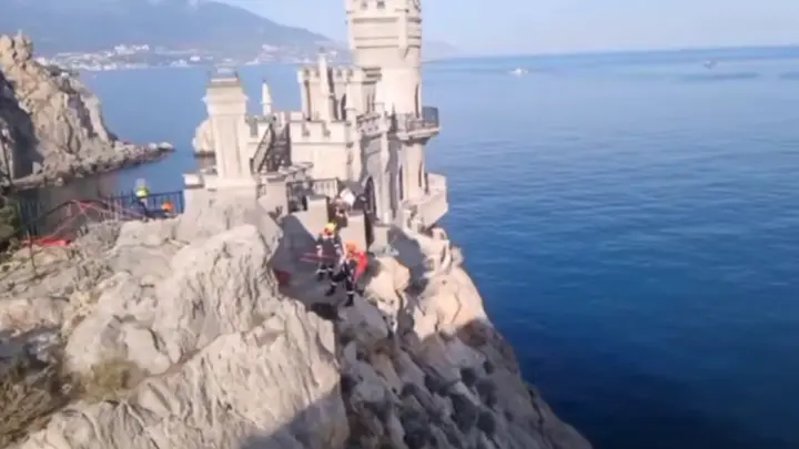 Спасённая в Крыму кошка Муся вернулась к нормальной жизни после падения со скалы