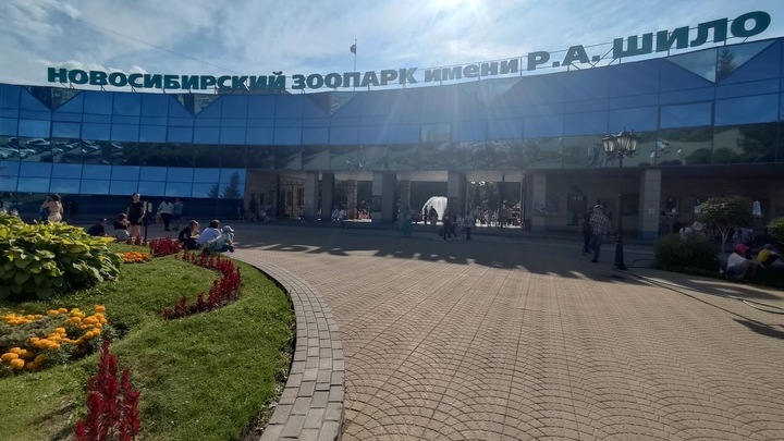 Новосибирский зоопарк закупит кенгуру и пуму за 280 тысяч рублей