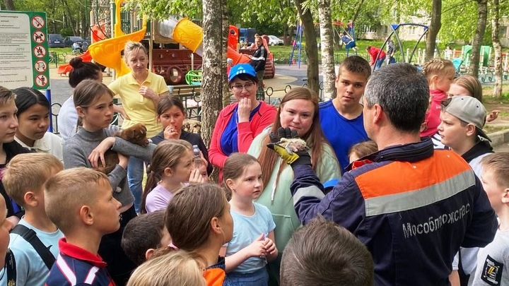 В Солнечногорске спасатели помогли запутавшимся горлицам