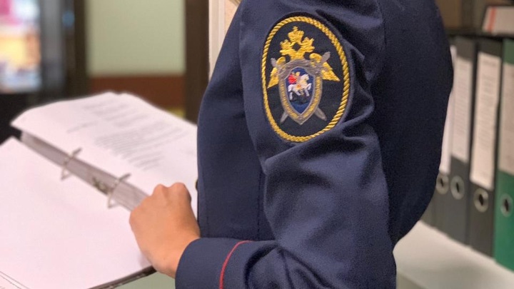 В Богородске местный житель задержан за убийство на детской площадке