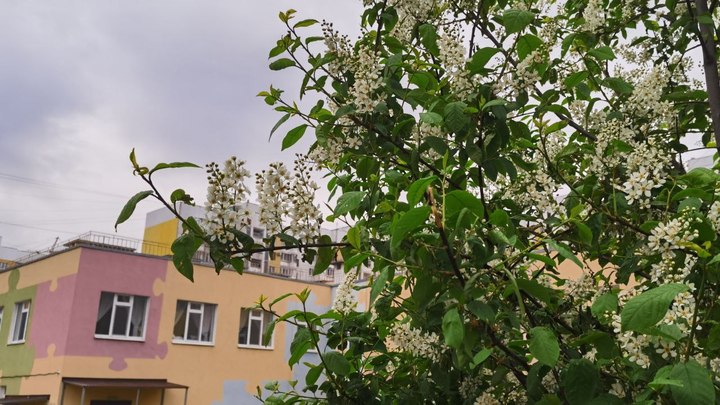 В Забайкалье синоптики прогнозируют хорошую погоду 1 сентября