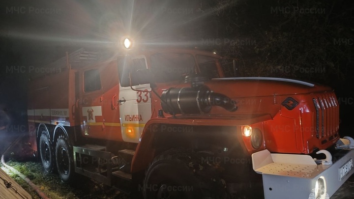 Трое детей погибли на пожаре в Тульской области