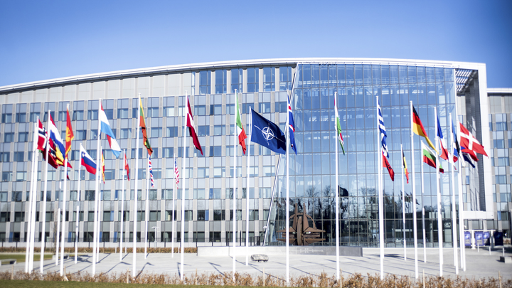 США требуют от Украины стандартов НАТО без принятия в альянс - Politico