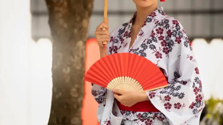 Туристов из России призвали не бояться японской визы