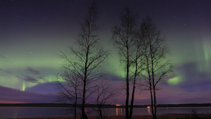 Не только в Москве, но и по всей стране: В России проявились интенсивные полярные сияния