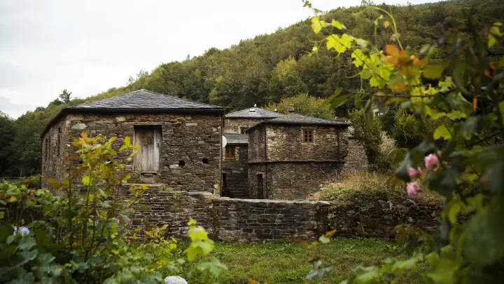 Сначала просто косила траву: Москвичка восстановила древний храм, но столкнулась с трудностями