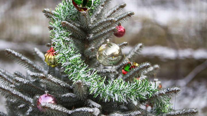 Без света, воды и тепла, но с ёлкой: Мэр Киева уготовил странный подарок