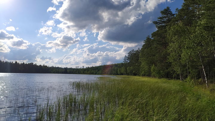 В Усть-Лабинском мальчик утонул на территории бывшего лагеря