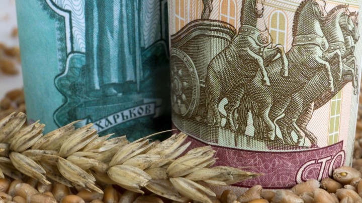 Россия готова незамедлительно вернуться к зерновой сделке: Песков назвал условия