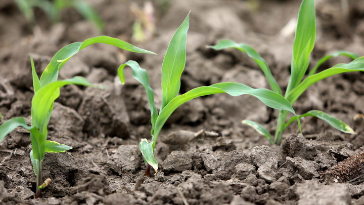 Ещё один шаг к продовольственному кризису. США ввели пошлины на удобрения из России