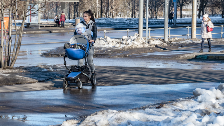 Выплаты, экзамен на права, удалёнка: Каких сфер коснутся изменения в законах в апреле