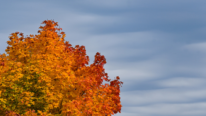 В московской зоне обнаружили НЛО, летевший со скоростью 240 км/час