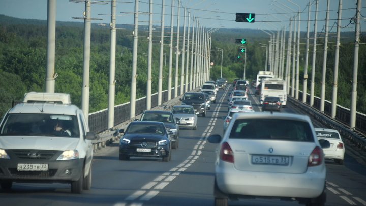 Во Владимире девушке не дали нырнуть с моста в реку