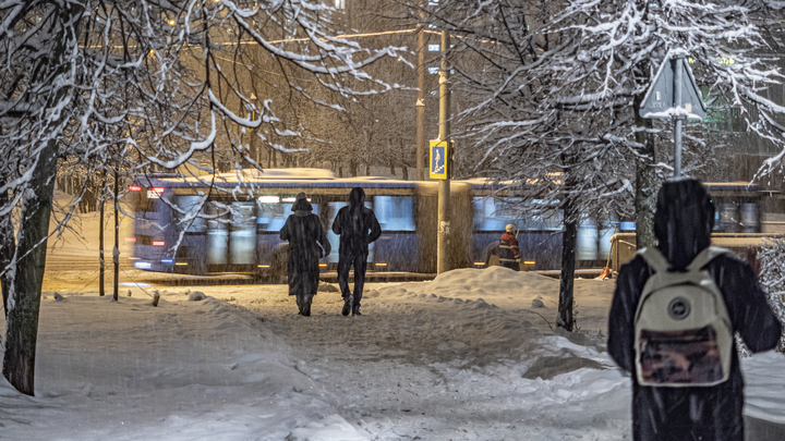 МЧС предупреждает москвичей о сильном снегопаде и ветре до 20 метров в секунду