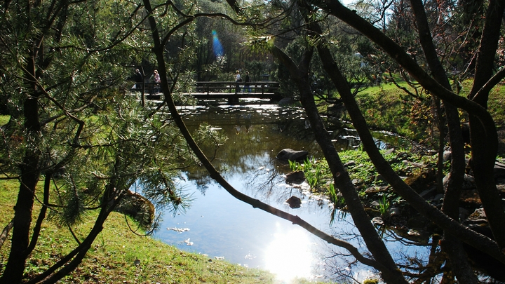 Спортивный кластер и уютная зона отдыха у реки: Москва продолжает менять облик пустырей