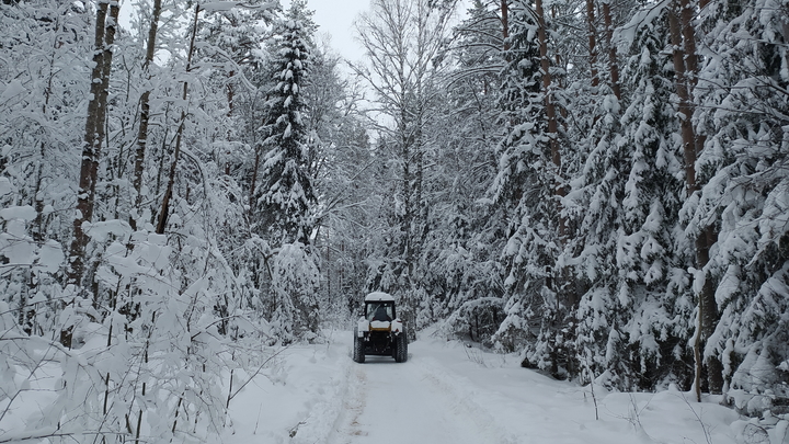 Сильная метель накрыла горнолыжные курорты Красной Поляны: трассы для катания закрыты