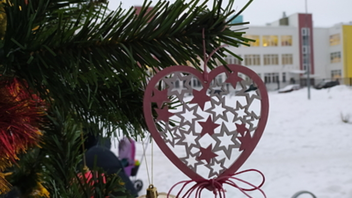 Как встретить Новый год в экологическом духе: Советы от экспертов