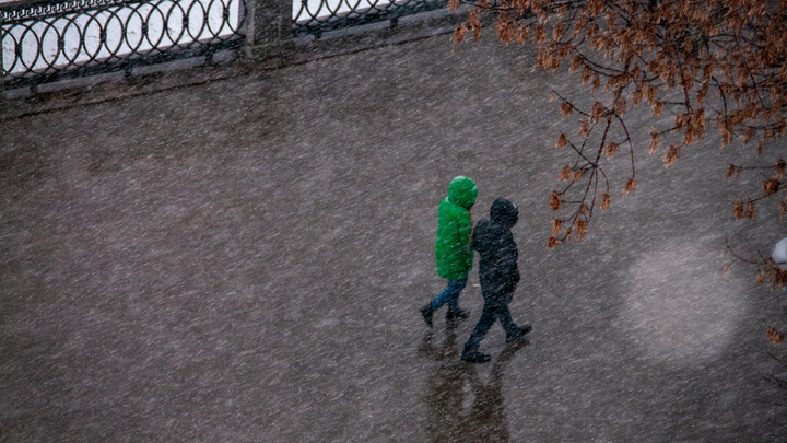 Из-за потепления в Москве и Подмосковье прогнозируют опасную зиму