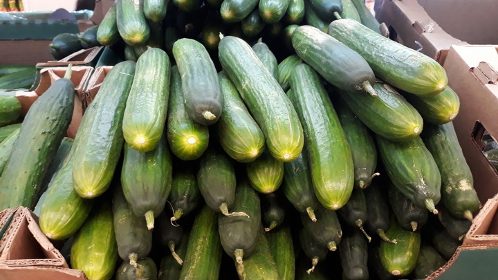 Вне сомнений, ценный продукт: Врач ответил, правда ли огурцы помогают против COVID-19
