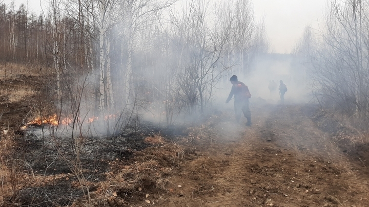 В Акшинском районе Забайкалья горит 45 гектаров леса