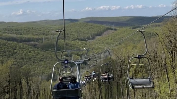 Минприроды обязало власти Горячего Ключа восстановить вырубленный под канатную дорогу лес