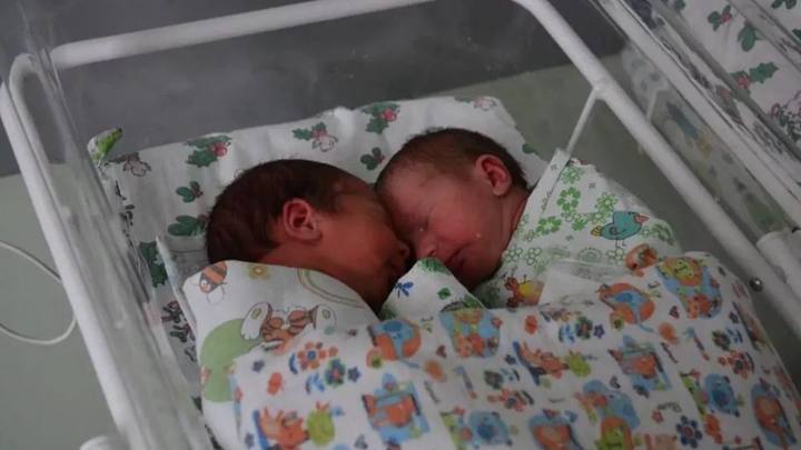 На Кубани за сутки родились тройня и две двойни