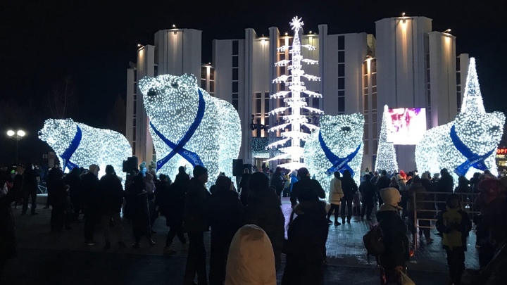 Курганцы потеряли папу-медведя