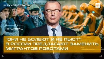 Пронько: Они не болеют и не пьют: В России предлагают заменить мигрантов роботами