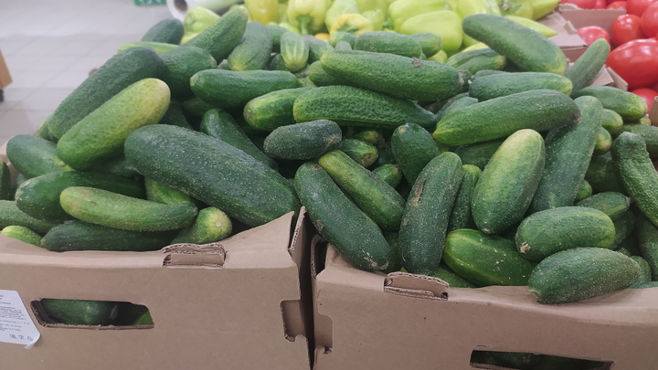 А Путин предупреждал: Польша начала массово закупать овощи в России