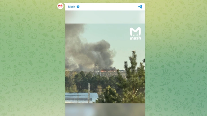 Один из крупнейших в Европе: мусорный полигон горит в Подмосковье