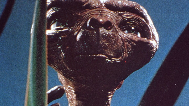 Тонкая шея, вытянутая голова, огромные глаза: Пришельца из глубин Тихого океана засняли вблизи