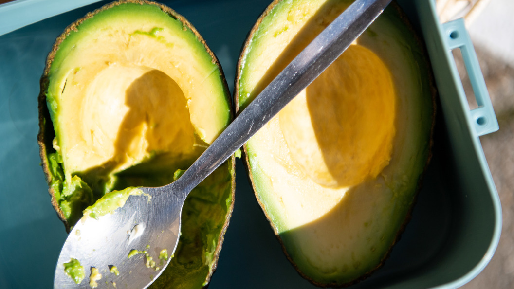 Nikocado avocado