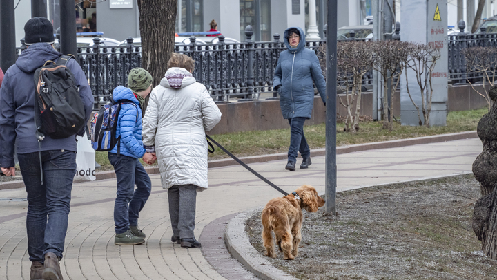 Пермячка взыскала 20 000 рублей за нападение щенка тибетского мастифа