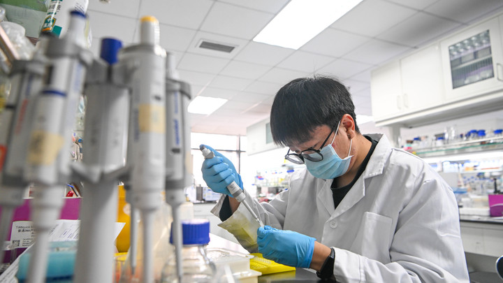 Смертность 100%: В Британии запаниковали из-за нового вируса-мутанта - винят учёных из Китая