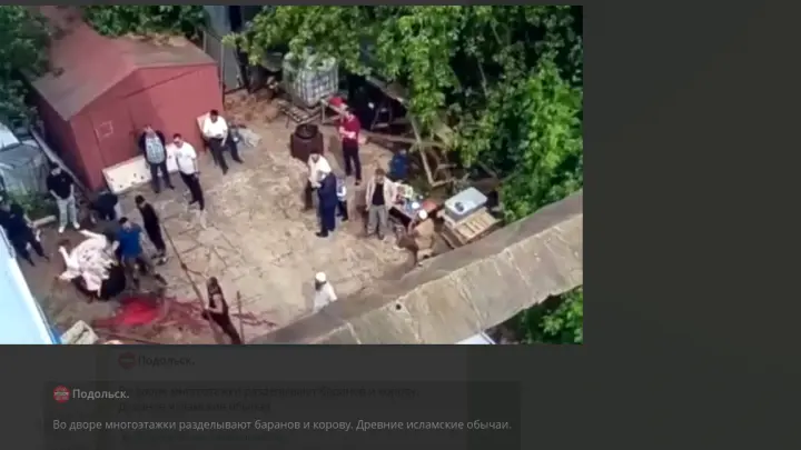 В Подольске разделка барана в Курбан-байрам во дворе многоэтажки попала на видео