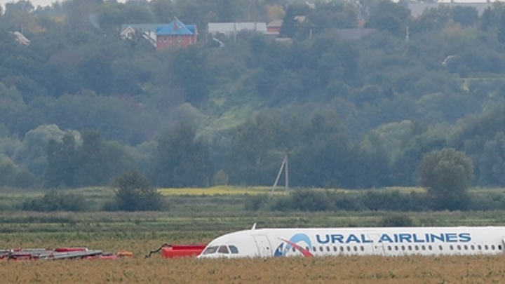 Подал сигнал тревоги и пропал с радаров: Что известно об экстренной посадке борта под Новосибирском