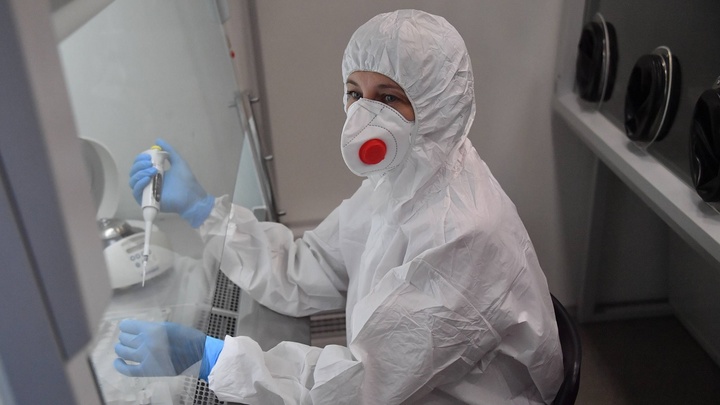 Это не британец: Завезённый в Ростовскую область из Англии Covid-19 не является мутантом