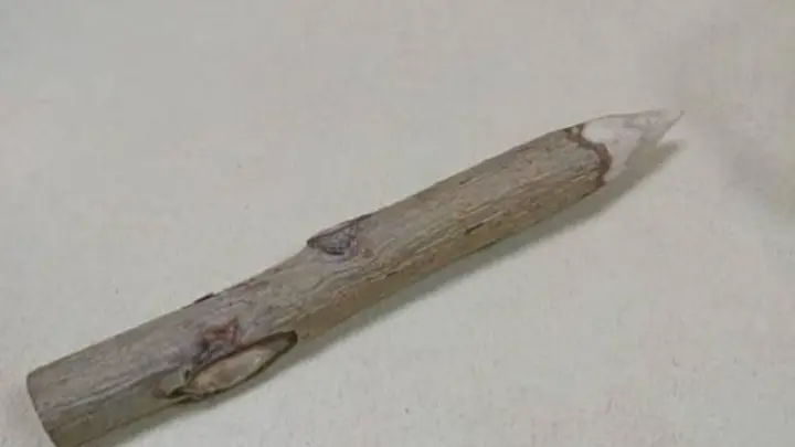 В Омске женщина пришла в суд с осиновым колом