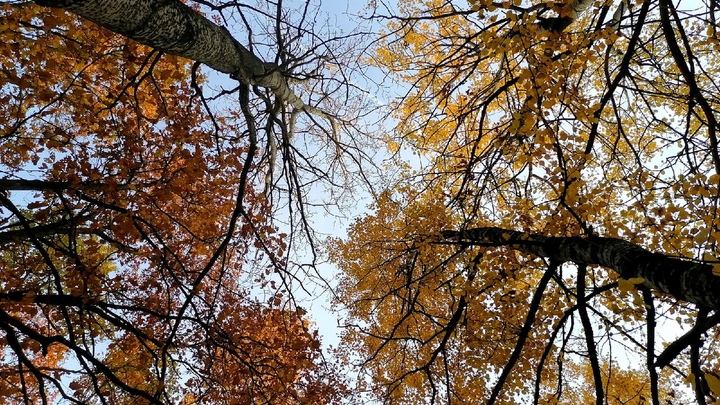 Выходные в ноябре 2022: в какие дни отдыхаем