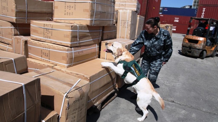 Рекордное число подделок из Китая за день перехватила таможня в Новосибирске