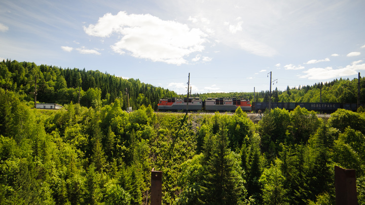 С рельсов в Свердловской области сошли два вагона, груженые лесом