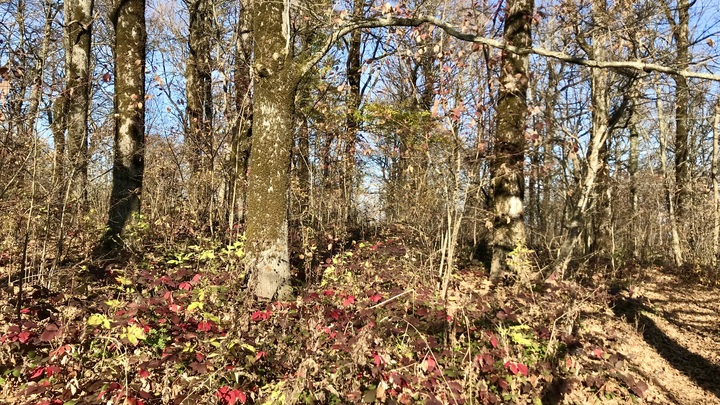 К выходным на Кубани потеплеет до 20 градусов