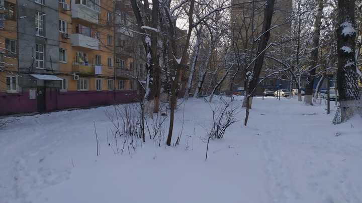 Погода в Ростове-на-Дону 28 января 2022: прогноз синоптиков