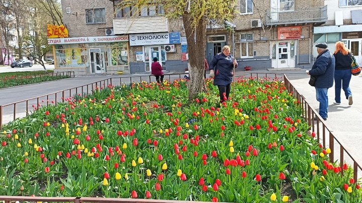 Погода в Ростове-на-Дону 5 мая 2022: прогноз синоптиков Погода в Ростове-на-Дону 5 мая 2022: прогноз синоптиков